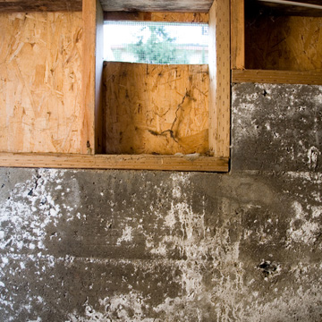 unhealthy crawlspace