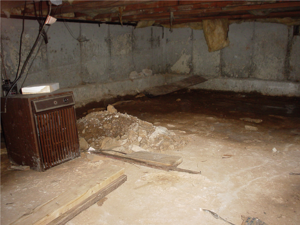 Mold and Mildew Removal Nashville, Mt. Juliet, Franklin, Knoxville, Murfreesboro, and Jackson